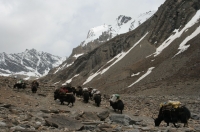 Lower Dolpo Trekking 22 dni